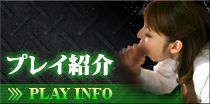 プレイ紹介