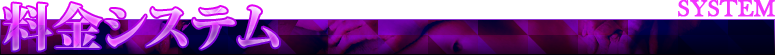 料金システム